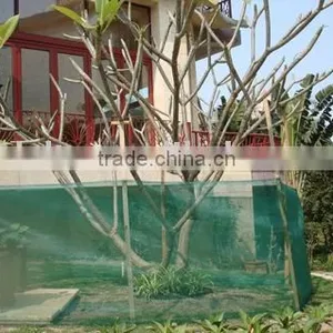 Tree Shelter thumbnail-1