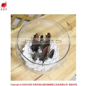 Artificial Mini Succulents Artificial Succulent Plants for Indoor Decoration Bonsai Potted Small Preserved Plant thumbnail-1