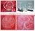 Jq4030 Jewelry Laser in Engraving Machines for Carving Crafts in China thumbnail-5
