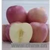 Sell Fuji Apple thumbnail-1