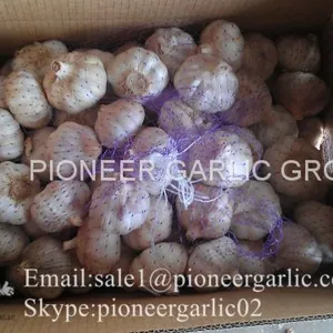 New Crop Natural Fresh Jinxiang Shandong White Garlic thumbnail-3