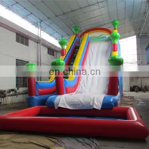 Professional Park Slides Slip n Giant Inflatable Water Slide for Adult Made in China thumbnail-5