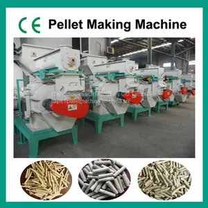 Biomass Pellet Mill for Fuel thumbnail-2