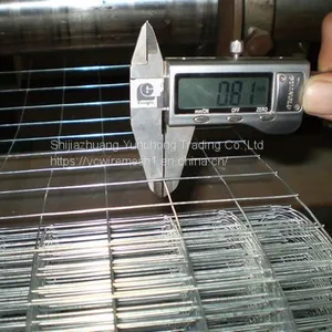Stainless Steel Welded Wire Mesh thumbnail-2