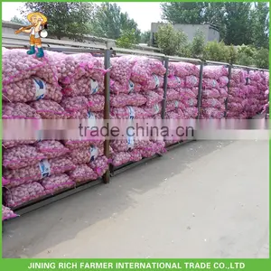 5.0CM 8Kg Mesh Bag Fresh Red Garlic thumbnail-1