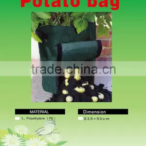 Pop Sale Planting Bag, PE Potato Bags thumbnail-1