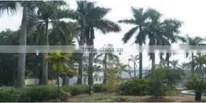 Guangzhou Topway Trading Co., Ltd. company overview - view 2 thumbnail