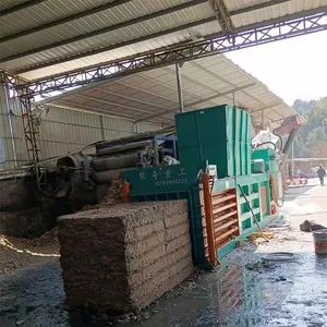 Hydraulic Cardboard Box Waste Plastic Bottle Baler Machine for Wood Cartons Cans Belts Pouches Featuring Pump Horizontal Design thumbnail-6
