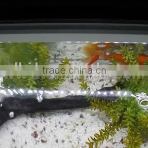 IP68 Waterproof Patented V-0 Underwater LED RGB Display CE UL Approved thumbnail-2