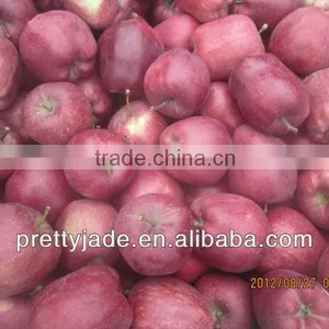 New Crop Red Huaniu Apple thumbnail-1