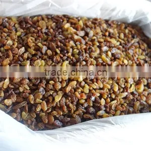 Green Raisin thumbnail-1