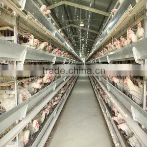 Different Types Steel Layer Chicken Cages for Sale thumbnail-1
