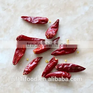 Tianying Small Chilli thumbnail-1
