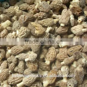 IQF Frozen Style Chinese Morel Mushroom thumbnail-5