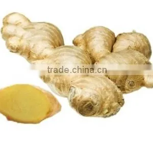 Organic Young Fresh Ginger thumbnail-1