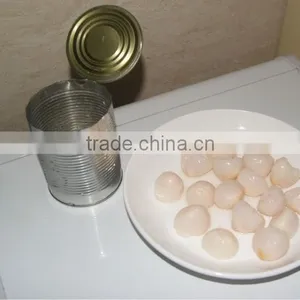Canned Foodstuff Chinese Canned Lychee in Syrup thumbnail-3