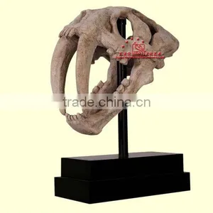 Museum Quality Fiberglass Saber-Toothed Tiger's Skull thumbnail-1