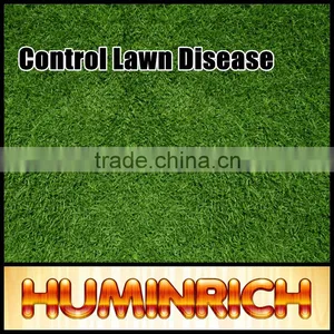 FAQ 15--How To Control Lawn Disease? thumbnail-3