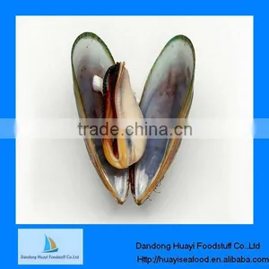 Best Quality Iqf Mussel Meat 200-300 thumbnail-1
