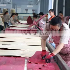 High Quality Quick Assembly Slab Formwork System With Ring Lock Scaffolding thumbnail-4