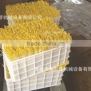 Hot Sale Automatic Bean Sprout Growing Machine, Bean Sprouting Machine,Bean Sprout Machine Price thumbnail-3