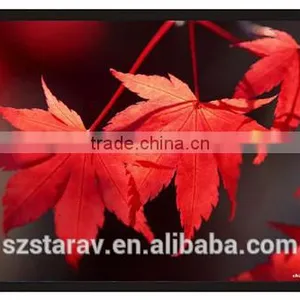 Multi-format Frame Projection Screen With Aluminium and Velvet for Home Theater Meeting Room Use thumbnail-5