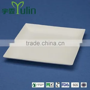 F1-PL-07-S Bagasse Square Plate thumbnail-1