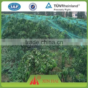 Xinhai Brand PE Fishing Net Agricultural Chap Anti Bird Netting Manufacturer thumbnail-2