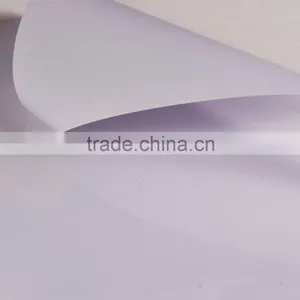 Solvent Digital Printing PVC Flex Banner/Backlit PVC Flex Banner/PVC Frontlit Banner Flex thumbnail-5