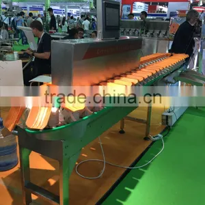 Weigh Conveyor thumbnail-2