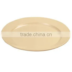 Plastic Plate thumbnail-1