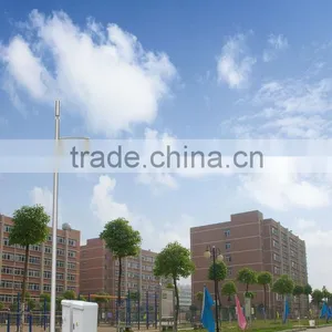 20m Landscape Monopole Tower(lamp) thumbnail-4