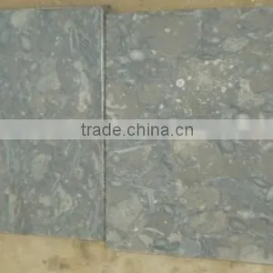 Fossil Stone thumbnail-1