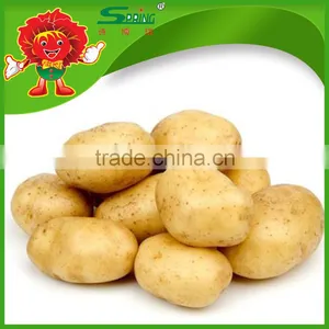All Year Round Yellow Potato Fresh Purple Sweet Potato thumbnail-4