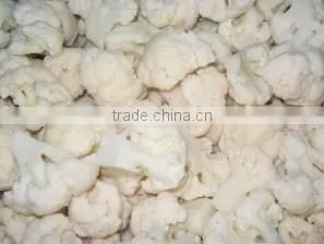 Cauliflower thumbnail-1