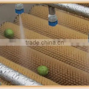 New Condition Commercial Washing Machine Fruit Washing Machine / Vegetable Washing Machine Apple Washer With Brush Rollers thumbnail-4