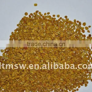 Bee Product Bee Pollen From Manufacturer thumbnail-1