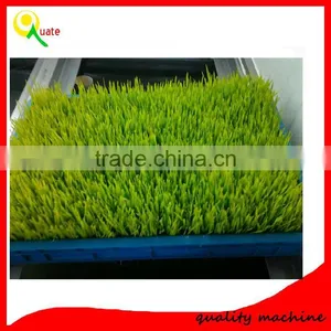 Fodder Sprouting Machine/hydroponic Fodder Machine for Cattle,rabbit,sheep,horse thumbnail-1
