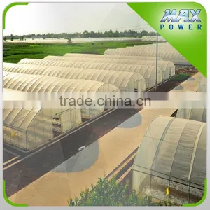 Multi Tunnel PE Film Greenhouse thumbnail-2
