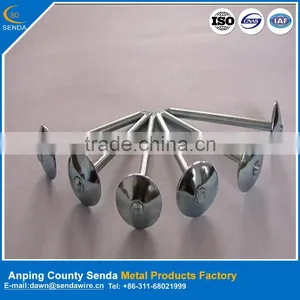 Galvanized Roofing Nails/ Iron Wire Nails Factory From Anping thumbnail-3