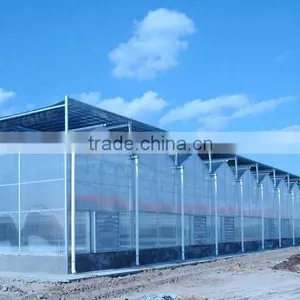 Mushroom Polycarbonate Greenhouse Material thumbnail-3
