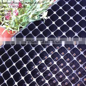 High Quality PS Material Plastic Type Gardening Flower Seed Nursery Tray With 200 Cells thumbnail-3