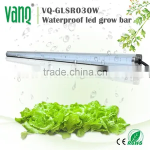 Led Light Manufacturing Plant Outdoor Plant Grow Led Lighting Smd 5730 Led Plant Grow Light thumbnail-2