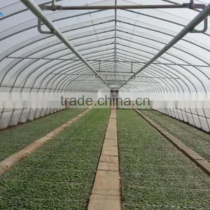 Plastic Film Tunnel Greenhouse thumbnail-1