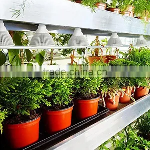 Amazon Best Seller Hot Item 12W LED Growing Bulb for Indoor Garden Greenhouse and Hydroponic Aquatic,E27 3Bands thumbnail-5