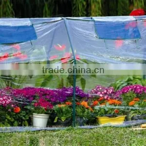 Multi Greenhouse thumbnail-1
