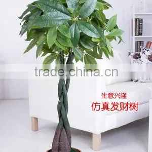 Guanghzou High Simulation Indoor & Outdoor Artifcial Pachira Macrocarpa Tree thumbnail-1