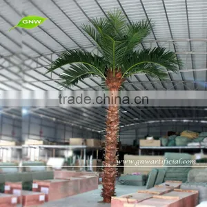 APM027 GNW Plant Artificial Coconut Tree for Sale 16ft High for Hotel Decoration Indoor Use thumbnail-1
