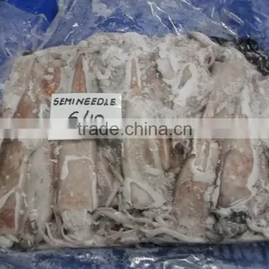 Frozen Semi Needle Squid Whole thumbnail-1