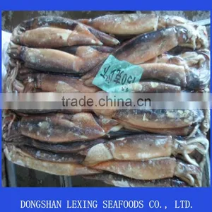 Seafood Frozen Illex Argentinus Squid thumbnail-1